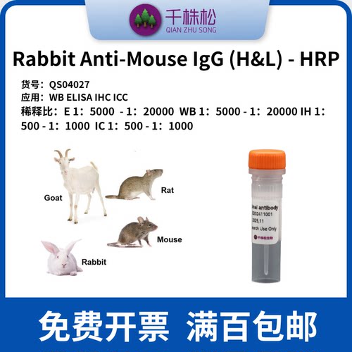Rabbit Anti-Mouse IgG (H+L) HRP 二抗WB/ELISA/IHC实验高浓度