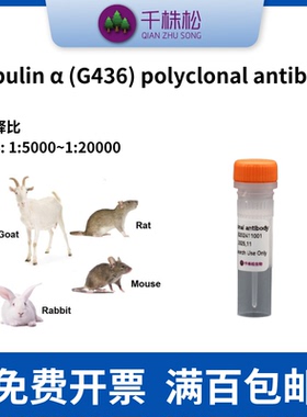 内参抗体，Tubulin α (G436) polyclonal antibody，WB IHC IF