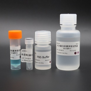 BCA蛋白定量试剂盒 BCA蛋白浓度测定试剂盒