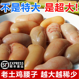 散养老公鸡腰子新鲜冷冻大号土鸡卵壮年滋补鸡宝鸡肾生鲜商用批发