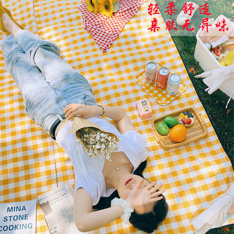 春秋户外防潮防水加厚野餐垫子