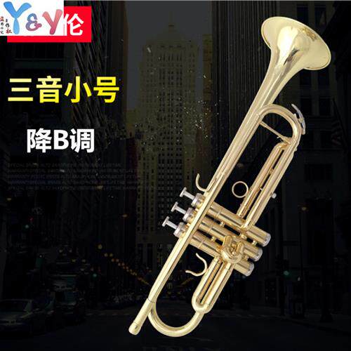 哈麦伦小号铜管西洋乐器 降B调三音小号 初学演奏电泳金三音小号怎么样,好用不?