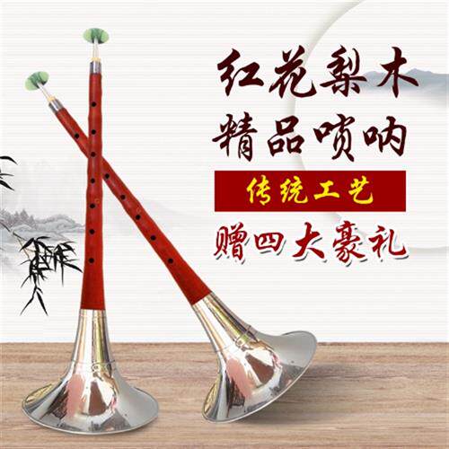 唢呐初学 d调唢呐 红白喜事降b调 红木花梨唢呐乐器a 大g调送哨片
