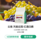 IRIS云南新产季 精品酒香手冲咖啡豆红酒日晒葡萄中度烘焙227g