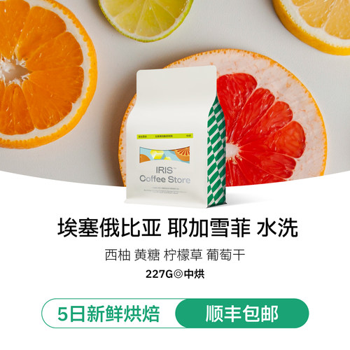 耶加雪菲埃塞水洗咖啡豆中烘冷萃