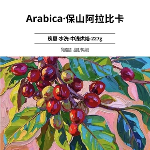 迪潞咖啡 云南Arabica保山阿拉比卡咖啡豆瑰夏水洗中浅烘焙227g