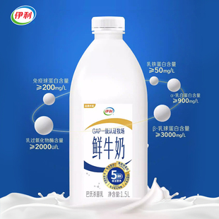 伊利鲜牛奶1.5L大桶装巴氏杀菌新鲜生牛乳低温鲜牛奶家庭装早餐