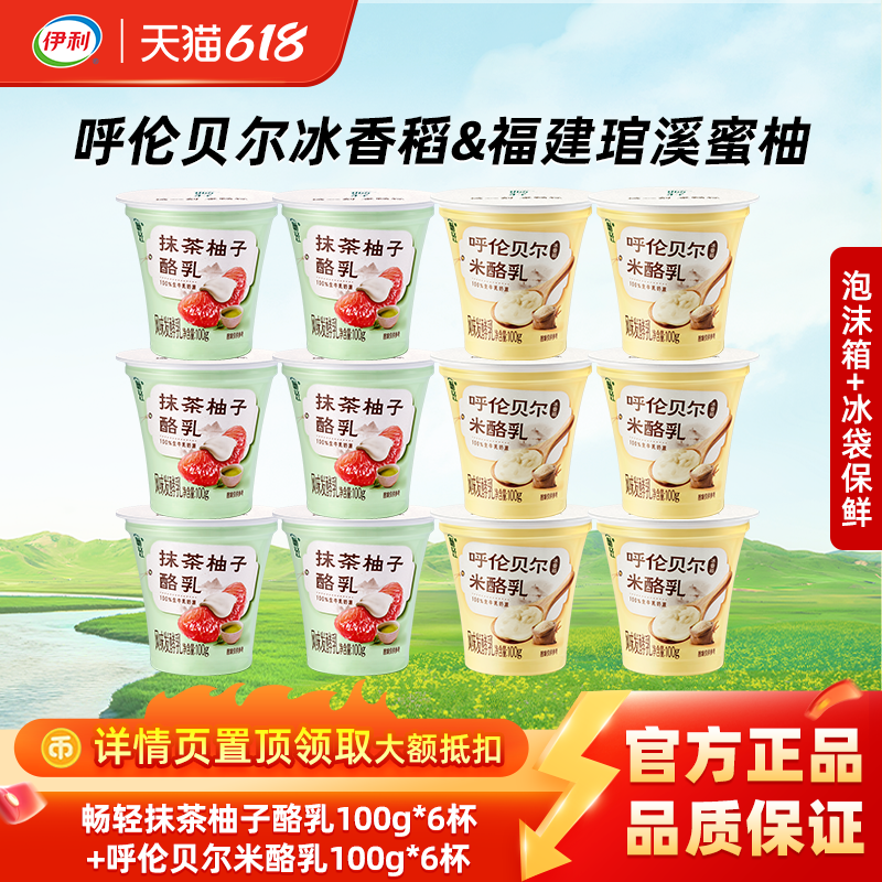 伊利畅轻抹茶柚子优酪饭后甜品营养早餐低温酸奶一杯优酪冷藏好吃