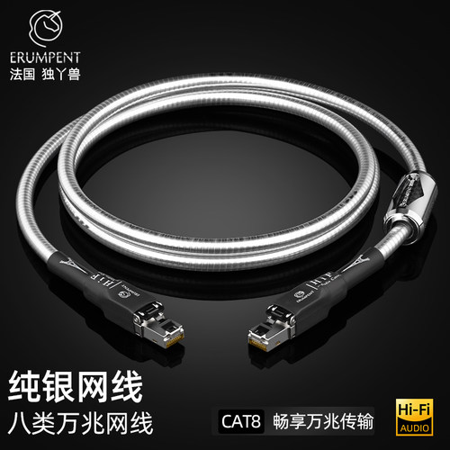 ERUMPENT八类万兆网线纯银