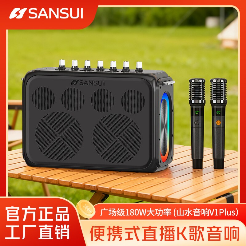 山水便携式户外蓝牙音箱乐器广场音量大功率一体手提音响K歌大