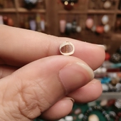 包邮 巴克特里亚千年蚀花6m 满百