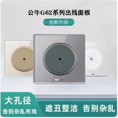 穿线面板公牛出线孔穿线开关