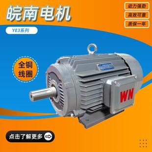 YE3系列超高效三相异步电动机37w45w全铜线圈厂家直供