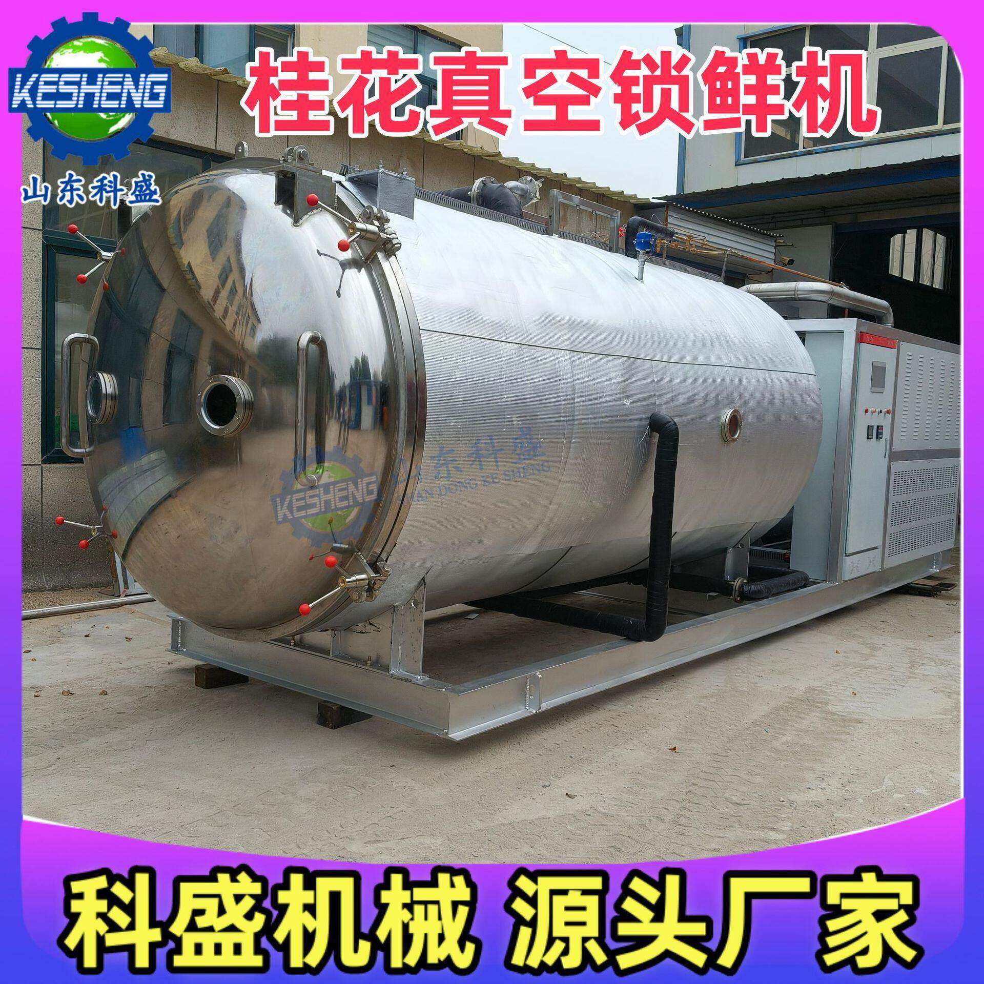 桂花真空冻干机 栀子花锁鲜冻干机 冻干玫瑰花洛红花 FD冷冻干燥