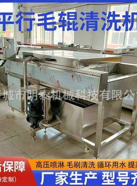 柚子平行毛辊清洗机 甘蔗清洗设备 沃柑砂糖橘脐橙清洗风干分选线