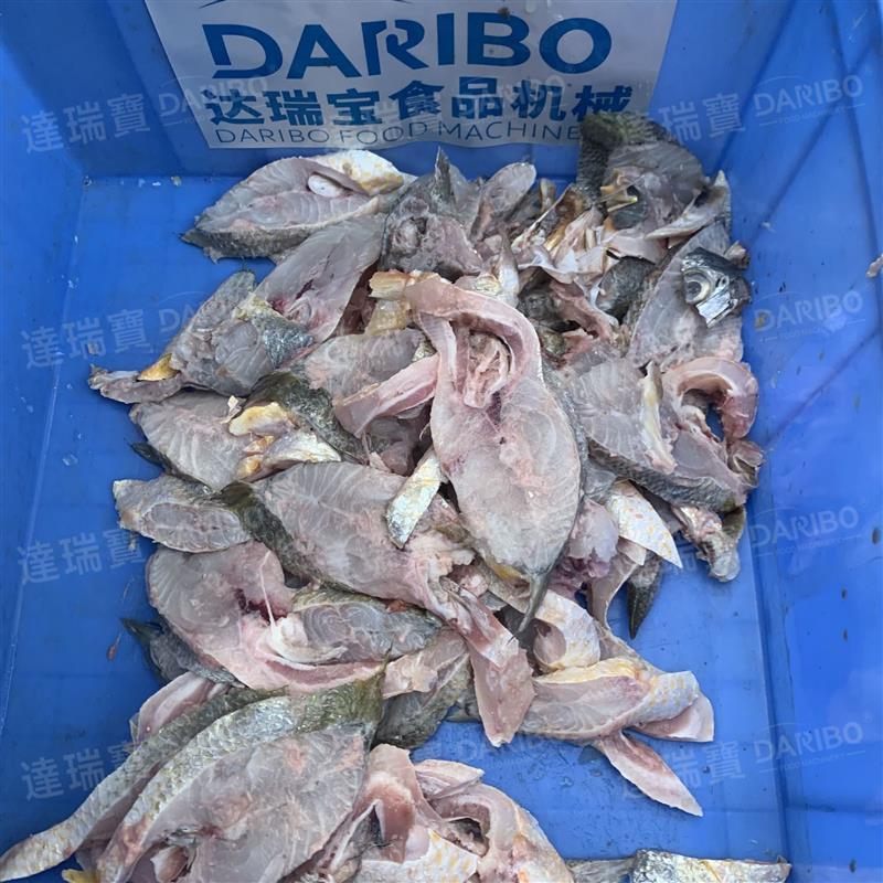 O商用大型斜切鱼段机切鱼厚片斜切机鲜鱼中段切割设备切鱼段机