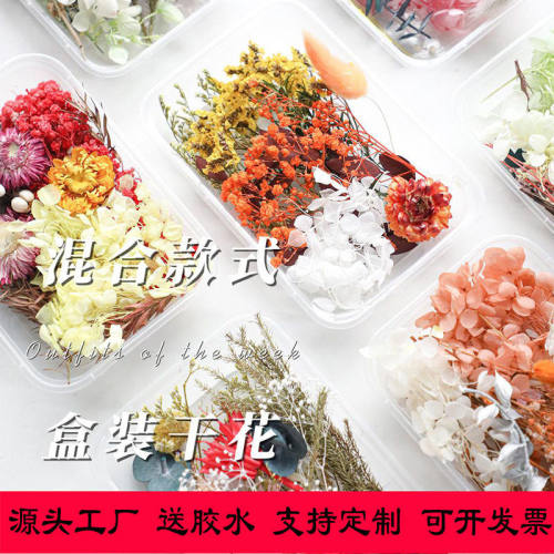 diy干花材料包混装花盒相框干花团扇花材包家居装饰手工花束真花