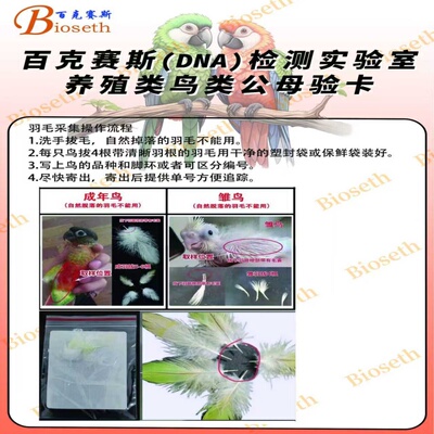 验卡，公母鉴定，雌雄分辩