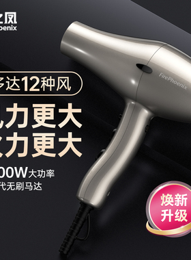 火之凤吹风机理发店专用发廊发型师家用大功率男士速干风筒6600X
