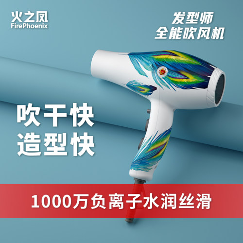 火之凤吹风机发型师专用