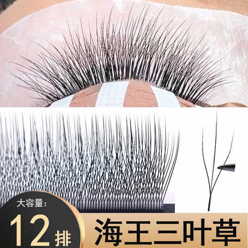 海王三叶草嫁接睫毛睫毛断羽
