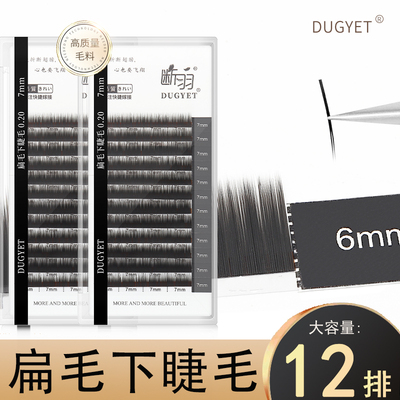 断羽扁毛下睫毛嫁接睫毛