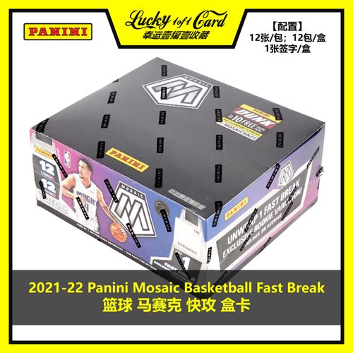 帕尼尼球星卡马赛克篮球