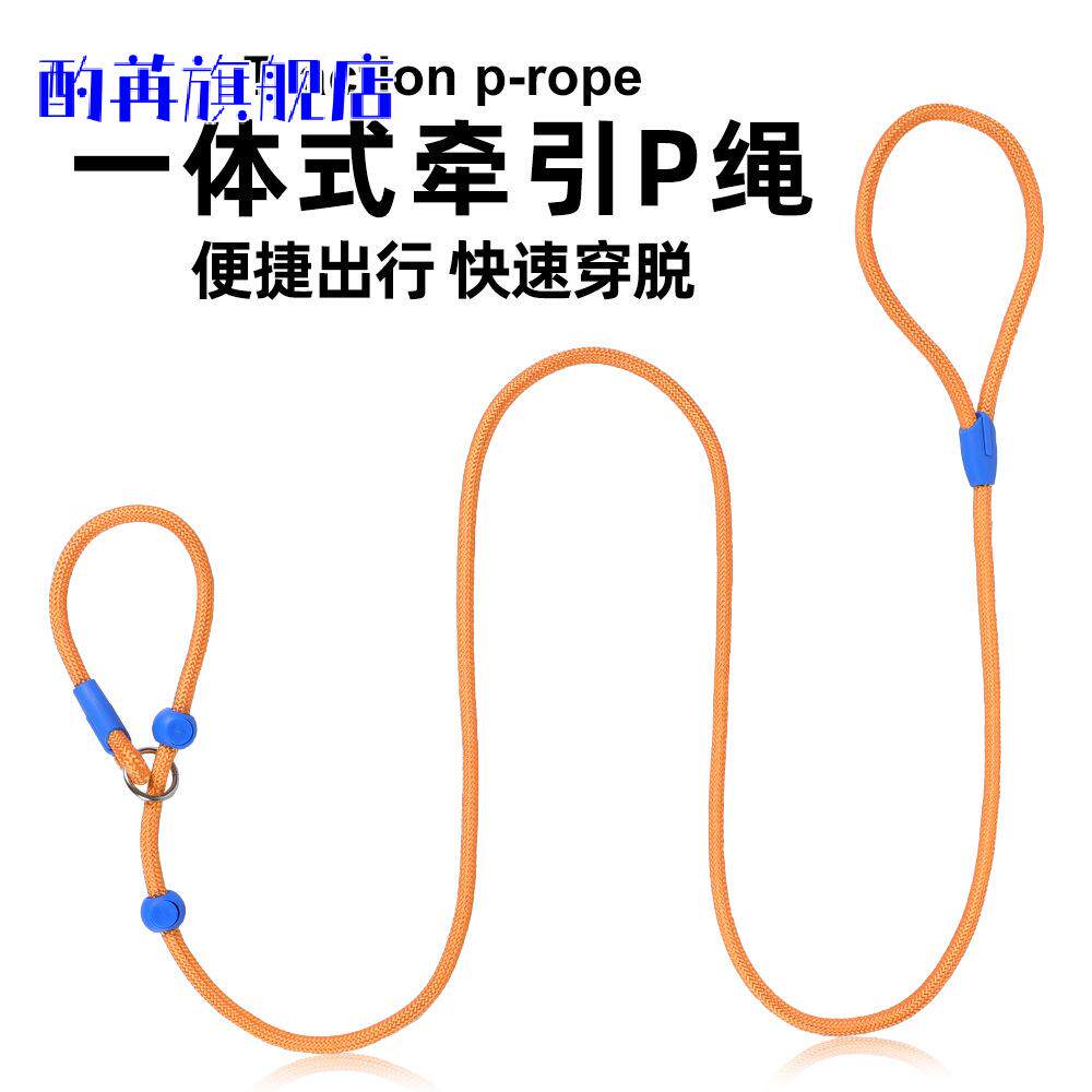 中小型宠物用品狗狗牵引带P绳宠物狗绳P链宠物用品 尼龙0.6CM