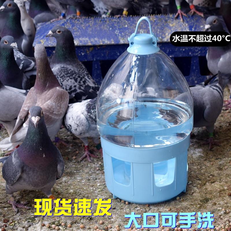鸽子水壶加热器防冻恒温底座盘信鸽用品饮水器鸽具鸽用鸟用喝水槽