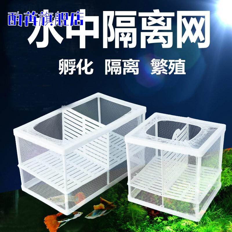 鱼缸隔离网水族箱隔离器隔离盒网孵化器孔雀鱼迷你鹦鹉繁殖箱