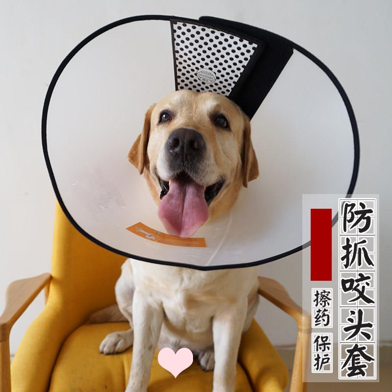 大型头套狗狗猫项圈脖套防舔猫咪宠物防抓圈防咬洗澡头罩小型喇叭
