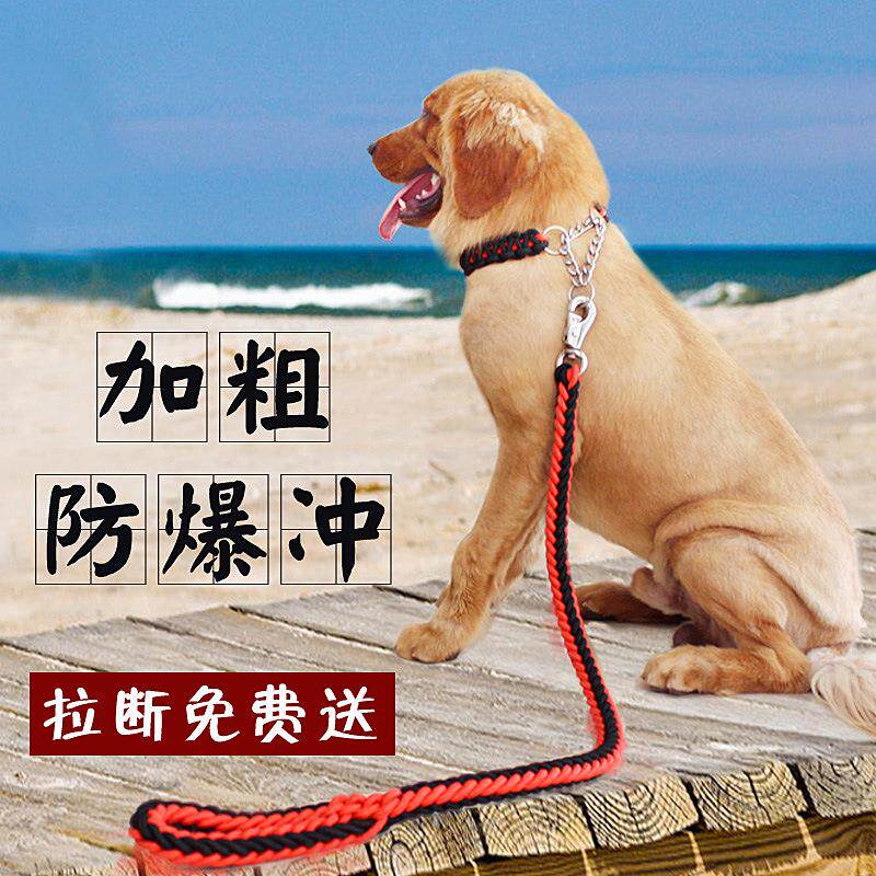 成年犬狗狗链牵引绳大型犬牵引带金毛遛狗绳项圈狗链子胸背带耐咬