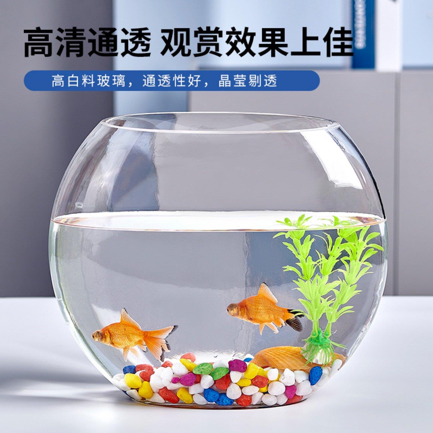 创意水族箱生态圆形玻璃金鱼缸 大号乌龟缸 迷你小型造景水培花瓶