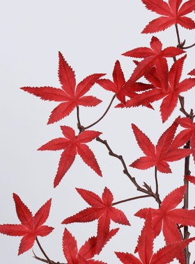仿真枫叶红枫叶假树叶园林景观工程造景假树枝家居装饰摆件假绿植