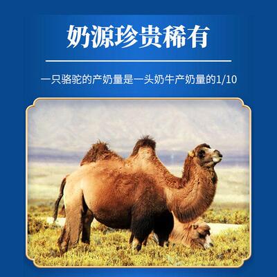 WXA施粉奶圣益菌驼蛋白质粉乳生清大豆蛋白营养粉覆合蛋白骆驼奶