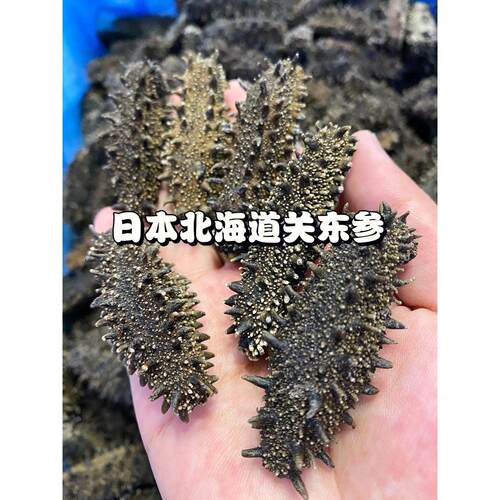俄野刺生六排纯淡干关海参原干货东日本北海道PTL非罗斯红参大连 - 封面