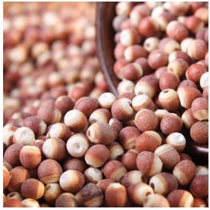 芡鸡头SIT米无硫g芡实仁新鲜臭鸡头不米50实0包邮磨粉