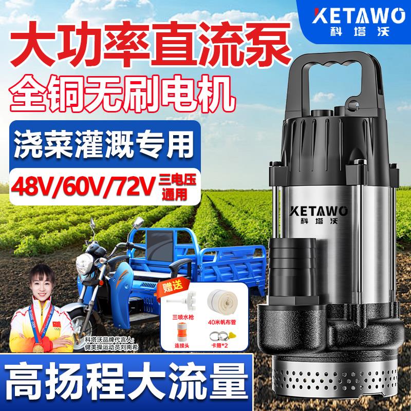 电动车专用潜水泵i12V48V60V72V大功率大流量无刷抽水泵农用灌溉