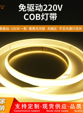 跨境cob灯条超亮220v免驱家用110v室内自粘户外工程防水led灯帶批