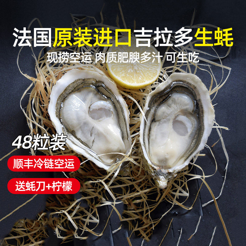 法国进口鲜活即食吉拉多生蚝刺身级生吃带壳大海蛎48粒顺丰冷链