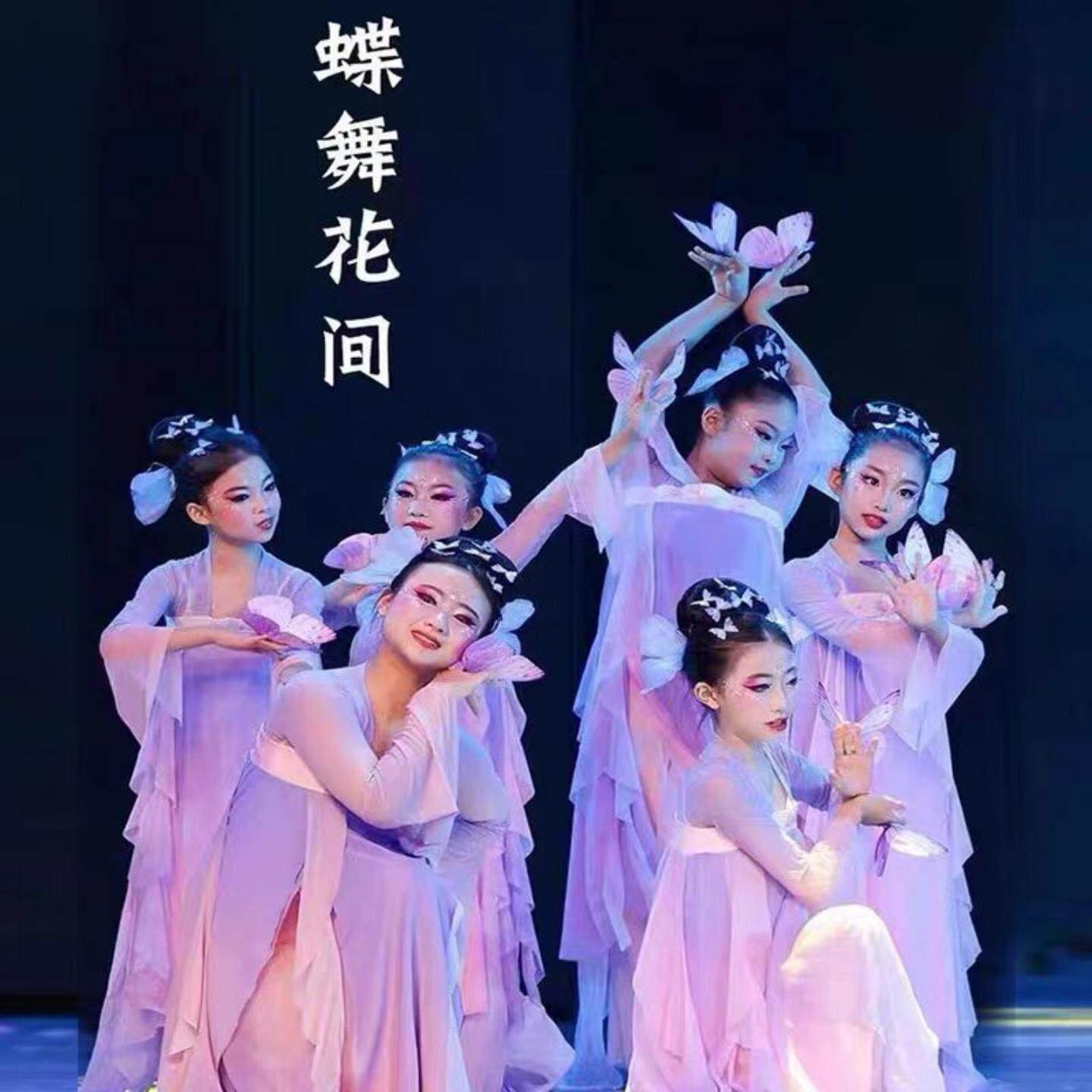 蝶舞花间舞蹈服儿童古典舞演出服