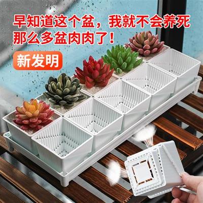 美莳多肉专用花盆小号白色树脂套装好看的精致植物控根塑料带托盘