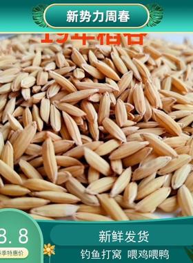 黄谷子5斤谷子带壳水稻100斤谷子鸟粮鸟食50斤稻子喂鸡鸭吃的稻谷