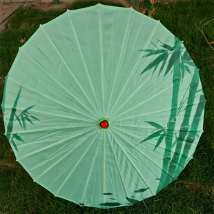 关关雎鸠跳舞伞雨涧春行图舞蹈伞故乡情伞人间烟火伞舞江南道具伞