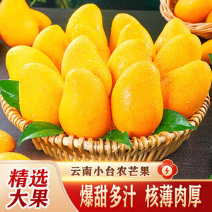 正宗海南小台芒新鲜10斤芒果新鲜水果热带水果树上熟