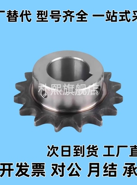 SP40B BSP40B SSP40B9 10 11 12 13 14 15-17-18-N/S 链轮