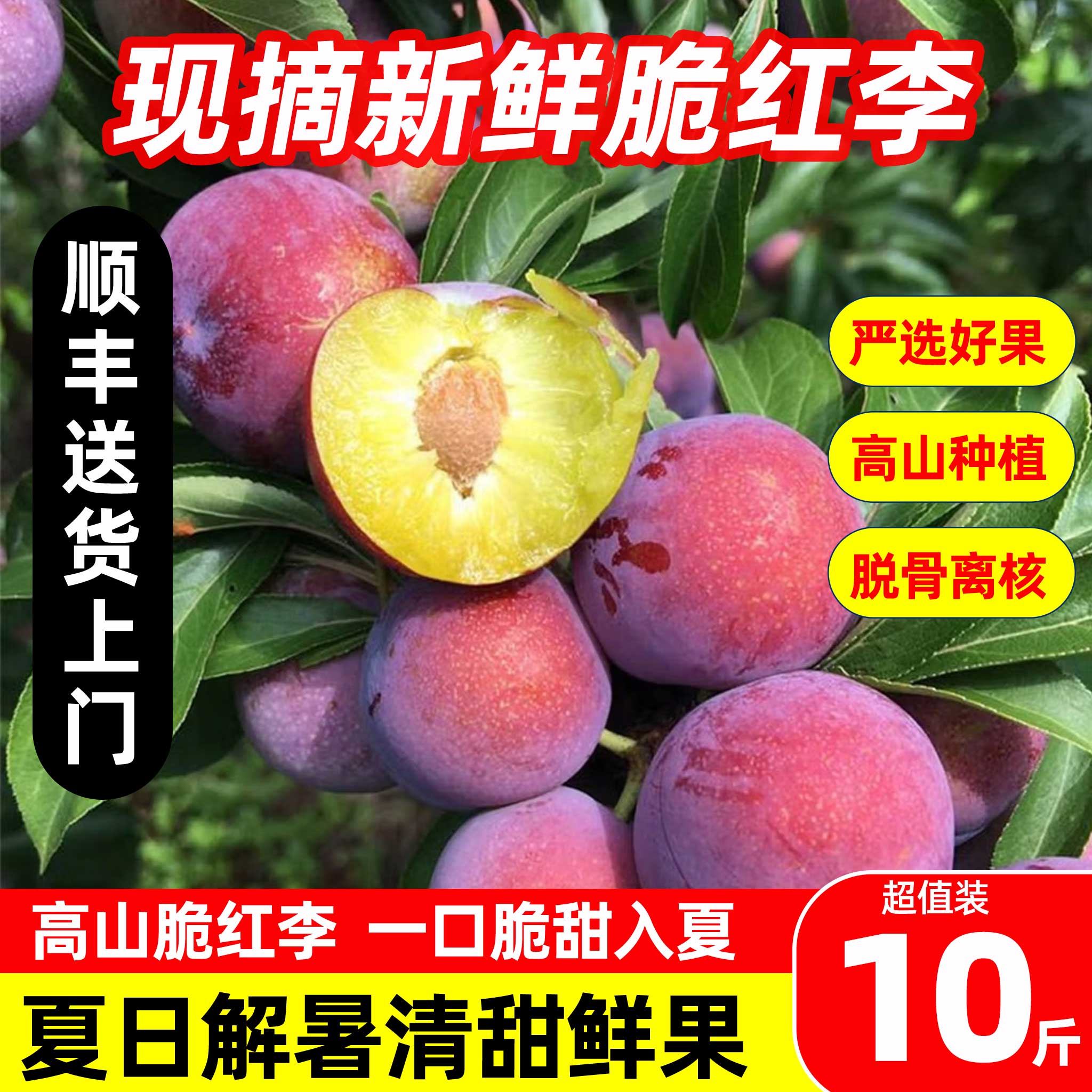 【顺丰次日达】脆红脱骨李子5斤