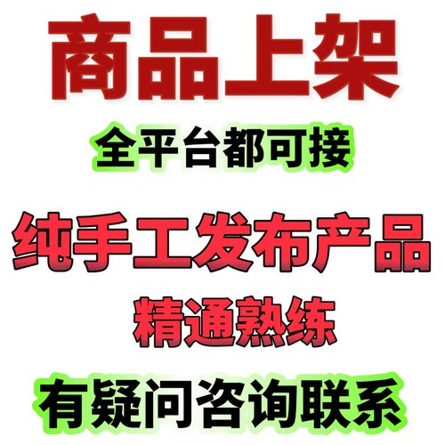 wordpress外贸独立网站产品上传跨境网店代上架产品外贸建站装修