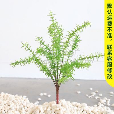 现货绿叶针叶舌头草装饰树叶植物墙把束绿叶绿植