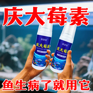 庆大莓素鱼用鱼药烂身烂尾炸鳞充血腹水肠炎水族锦鲤鱼病金鱼专用